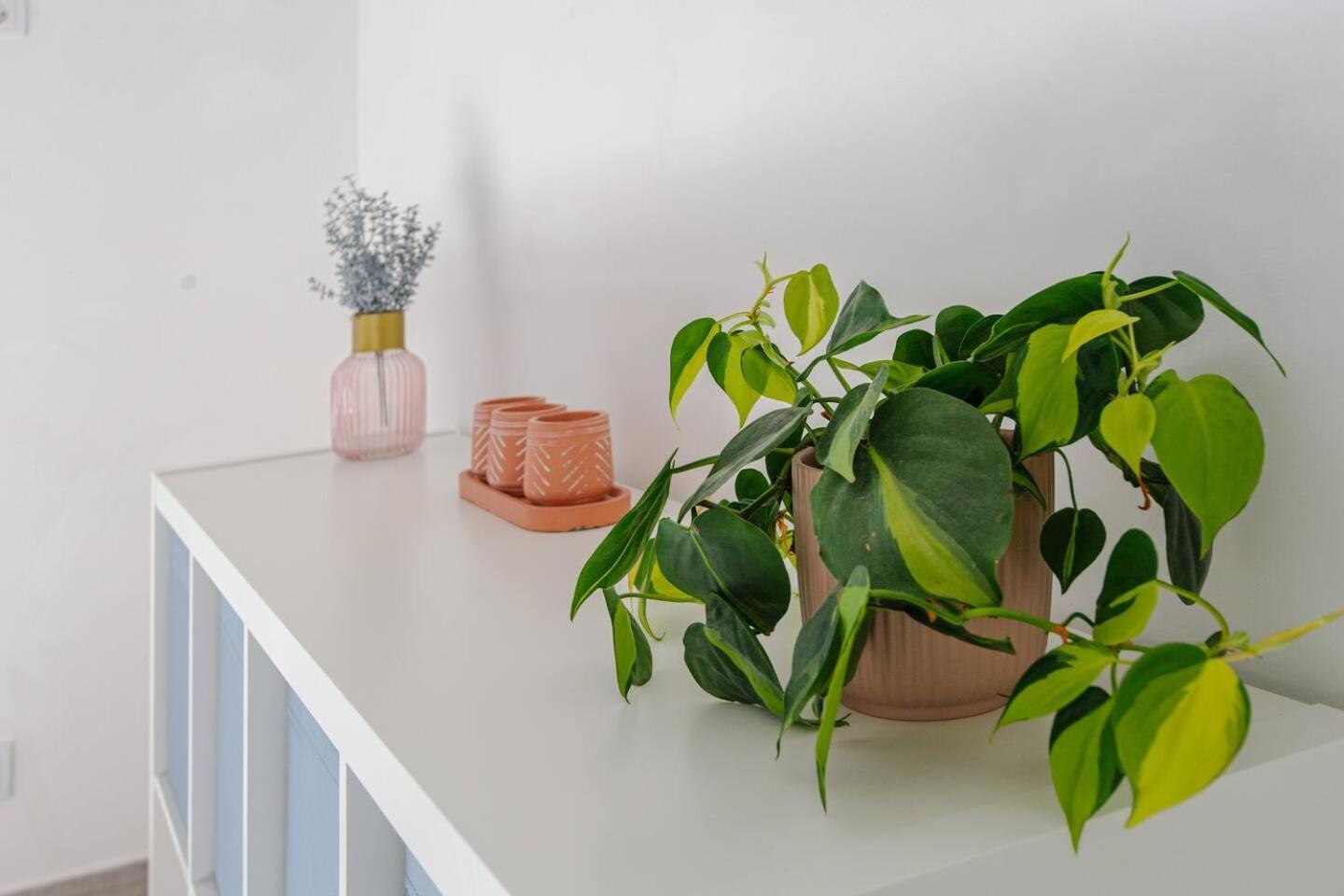 Sintra Sweet Apartment III - Free Parking מראה חיצוני תמונה